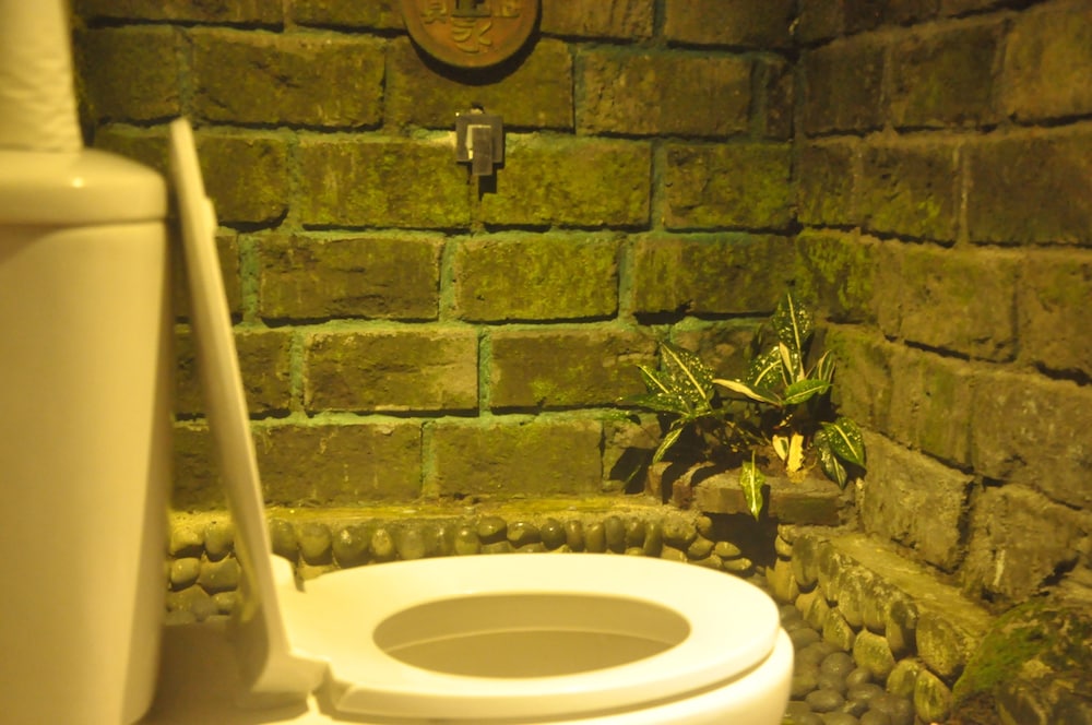 Tepi Sawah Lodge