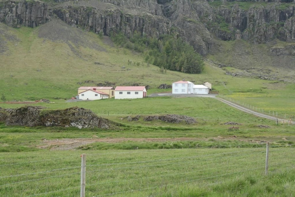 Photo 10