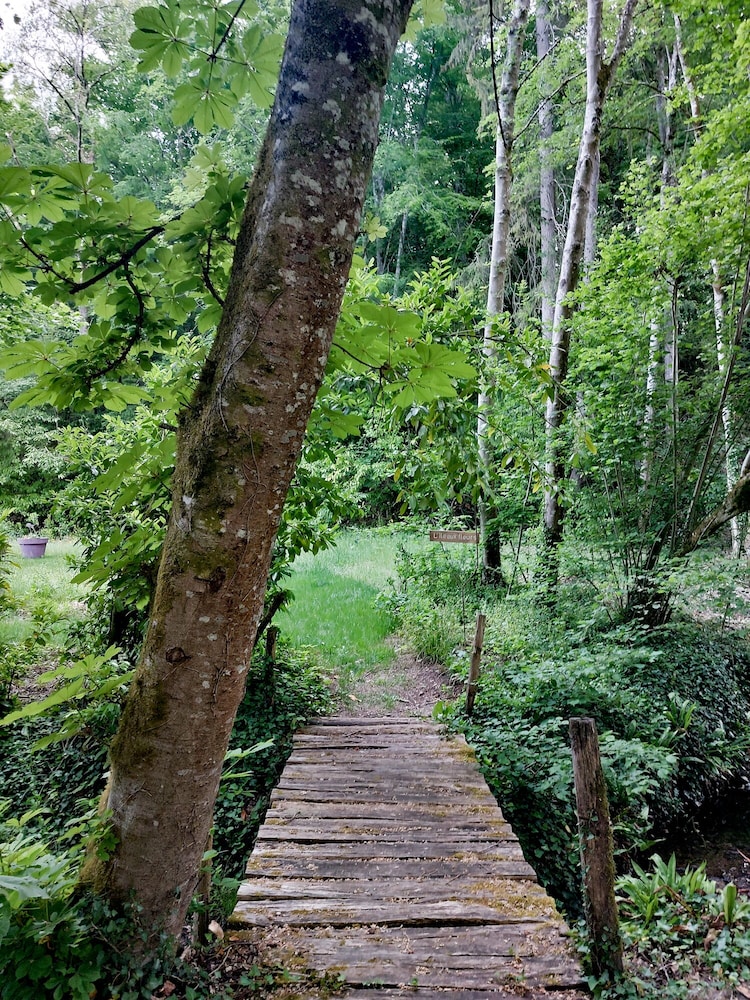 Photo 48