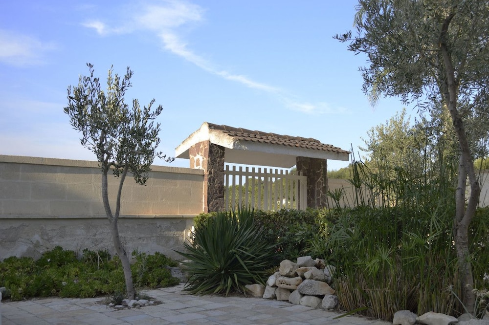 Photo 43