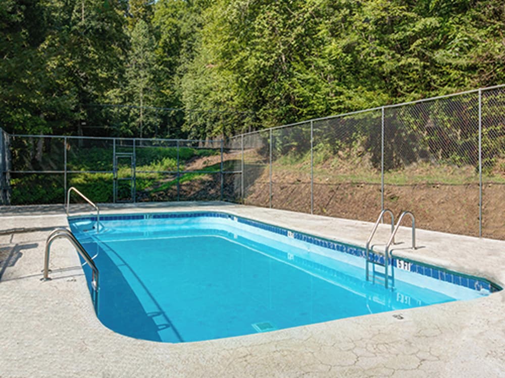 The Squirrel's Nest by Jackson Mountain Rentals