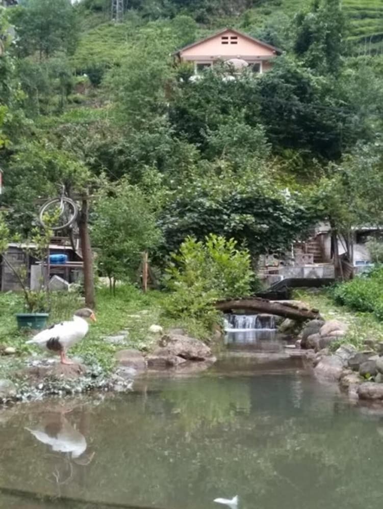 Yesil Doga Tatil Apart