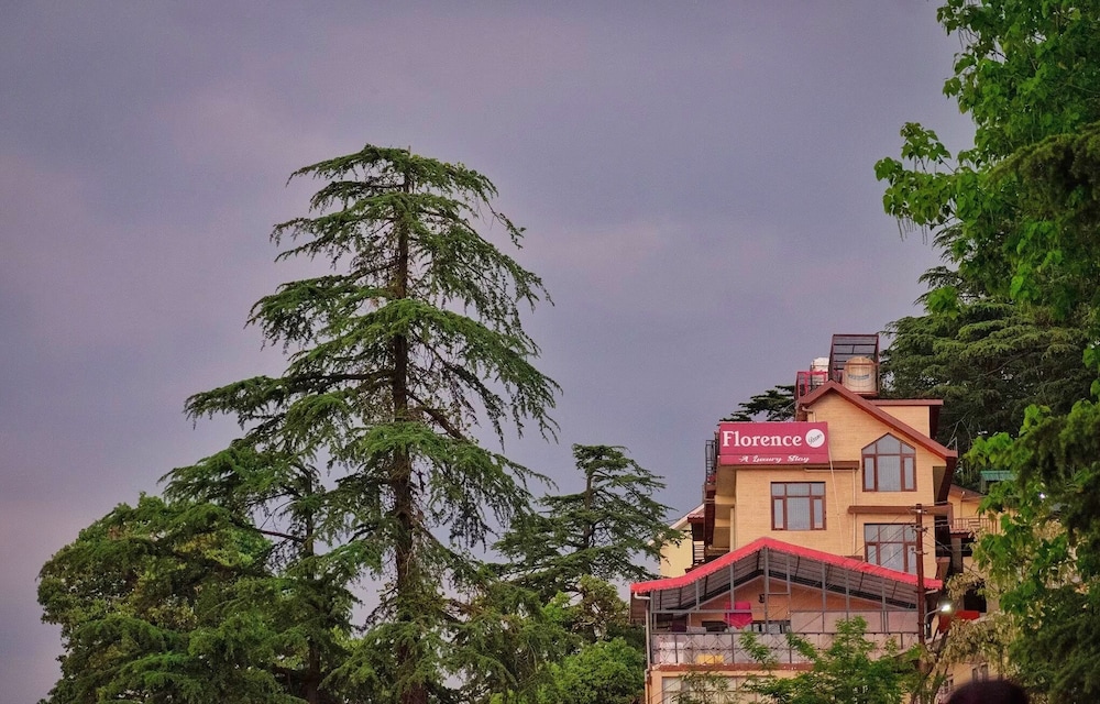 Florence B&B