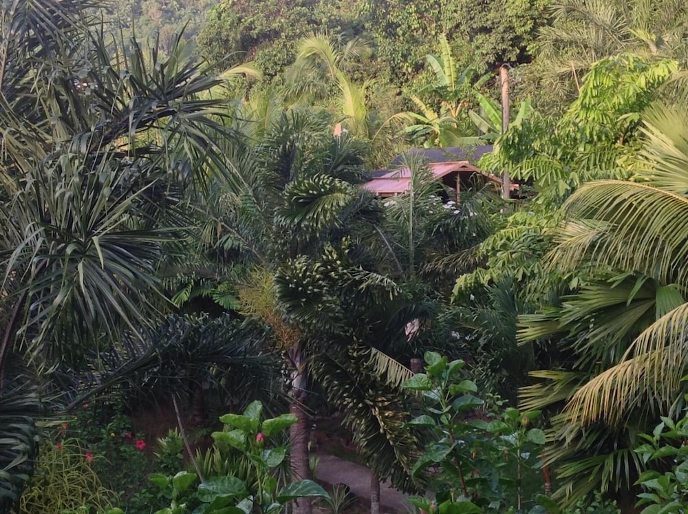 A Peace in Paradise