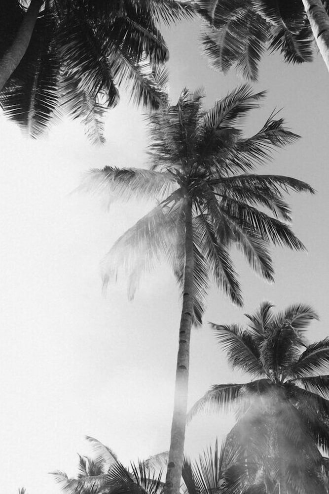 Kaini Mentawai