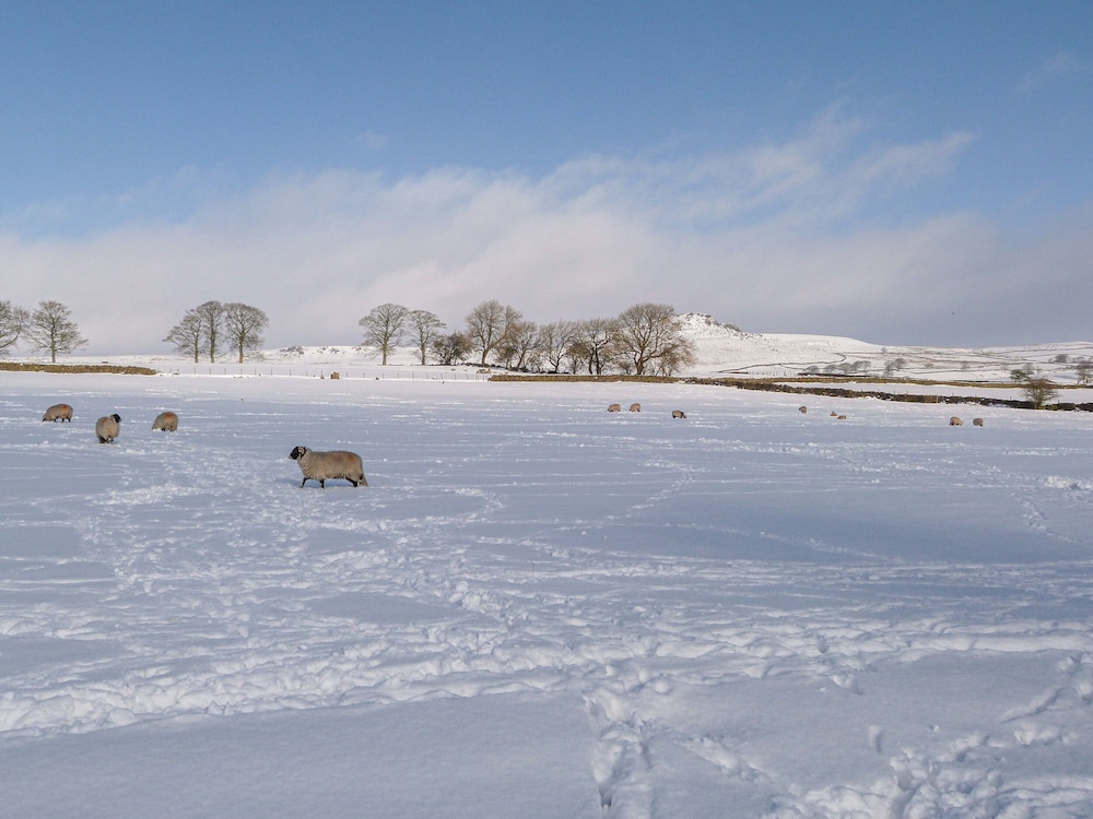Otter Lodge
