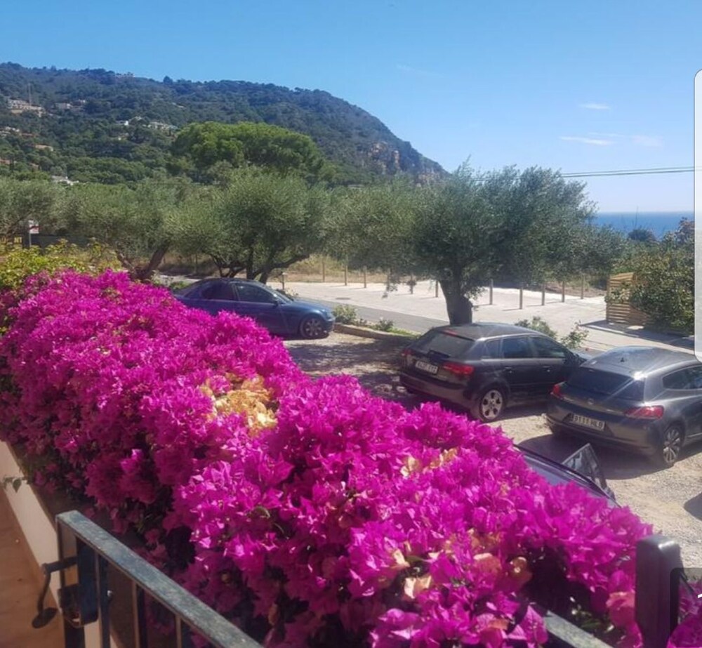 Hostal Ondina