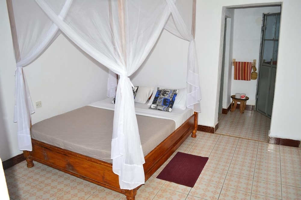 African wagtail hostel view 2