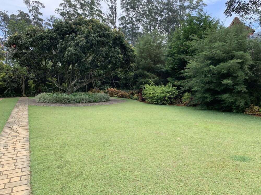 Photo 29