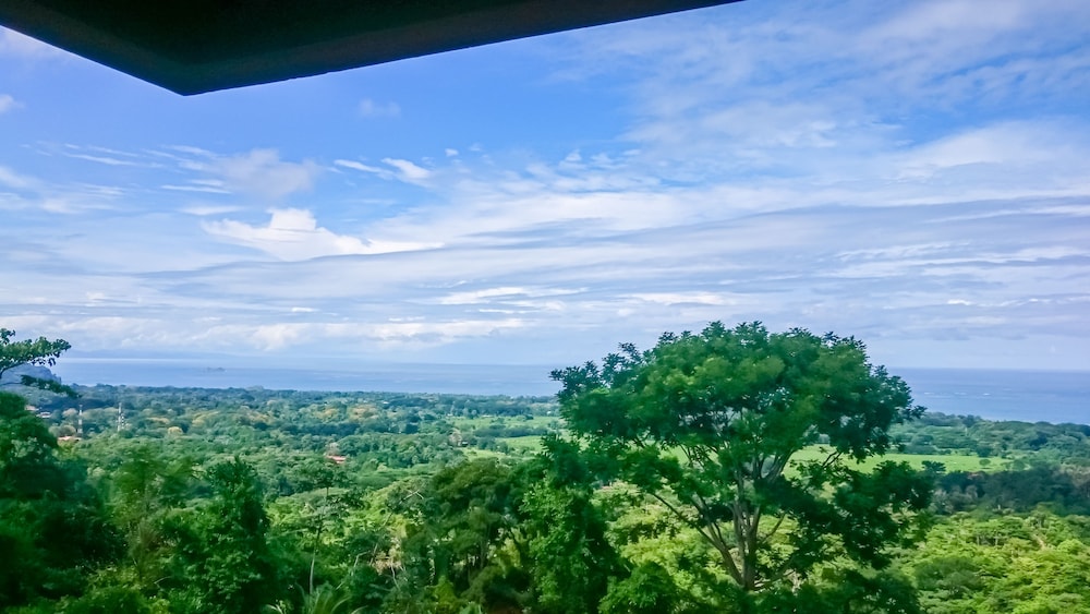 Vista Ballena