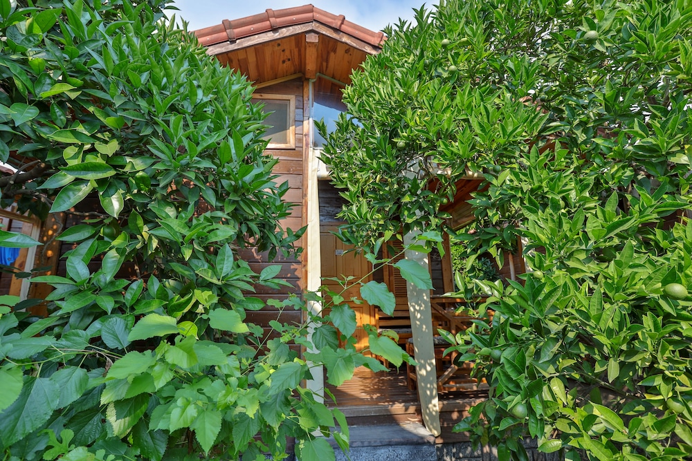 Sunrise Bungalows