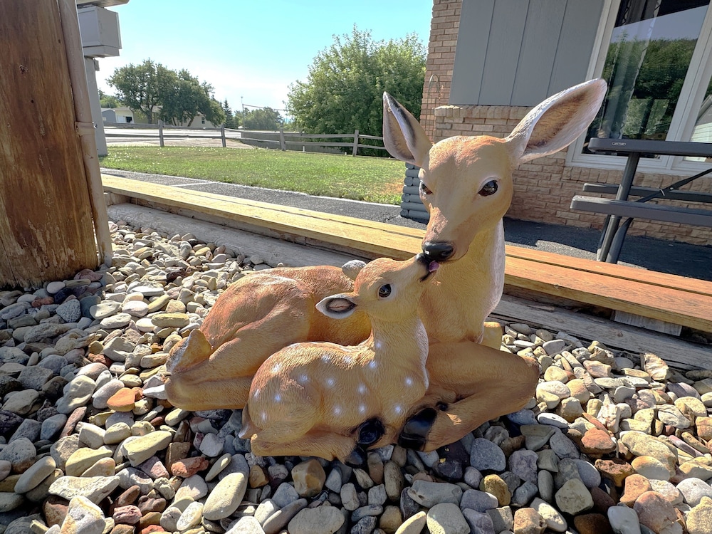 Deer Lodge Motel