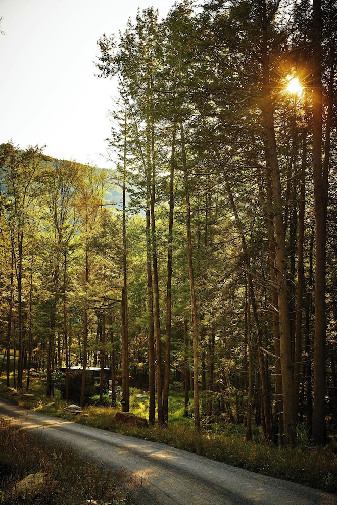 Postcard Cabins Blake Brook, Outdoor Collection by Marriott Bonvoy