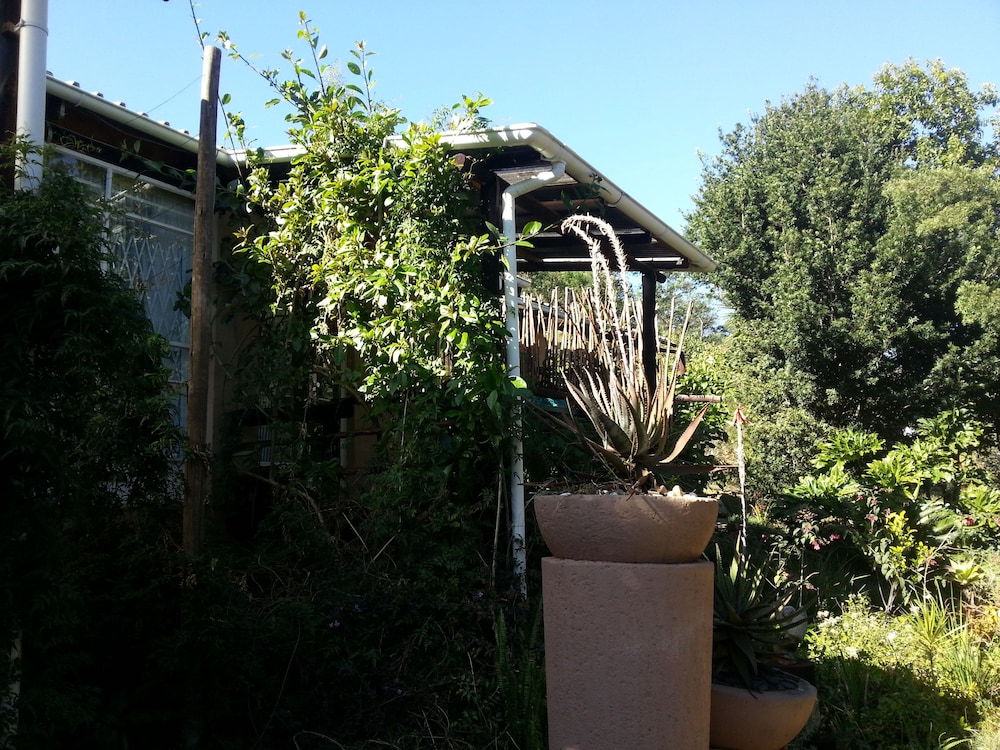 Photo 24