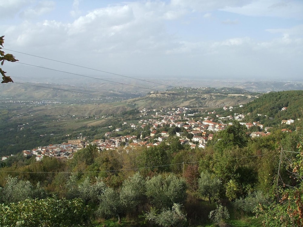 Photo 32
