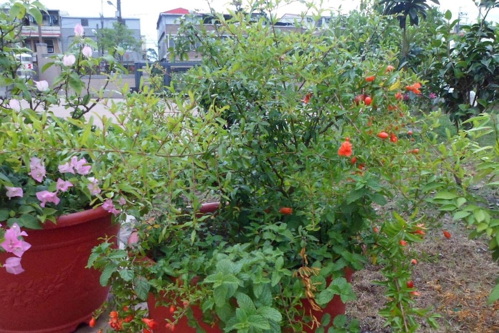 Photo 23