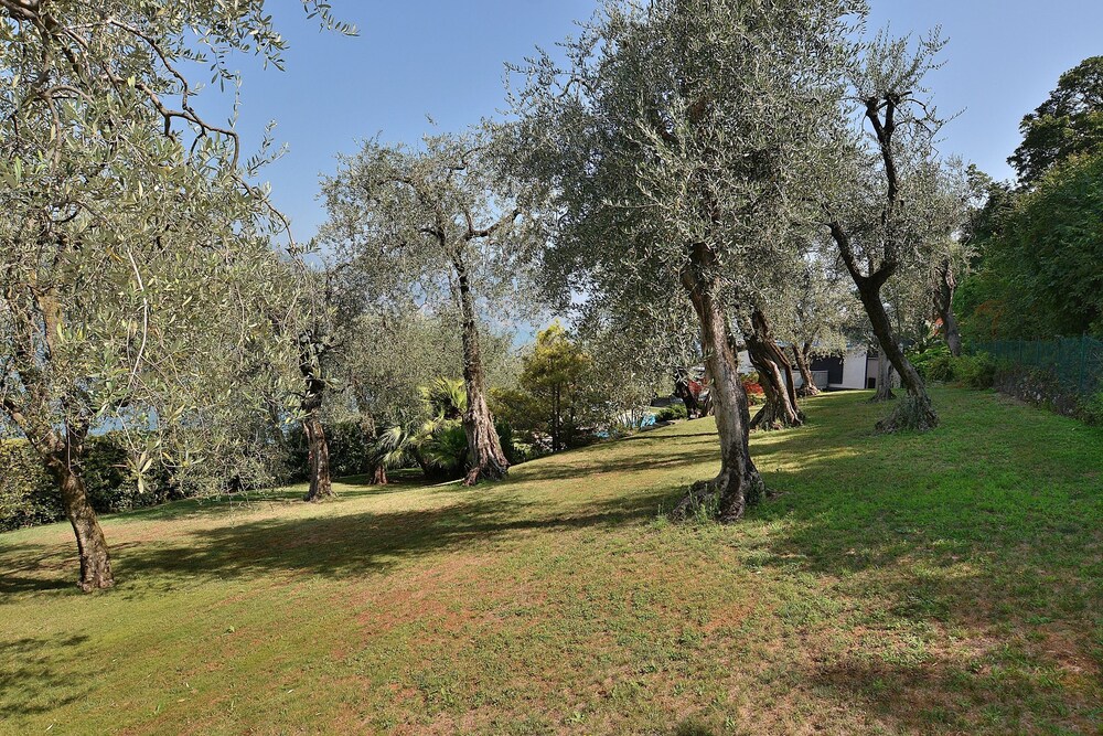 Photo 43