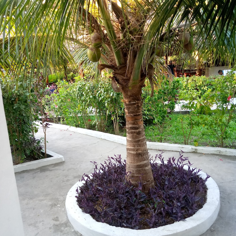 Photo 31