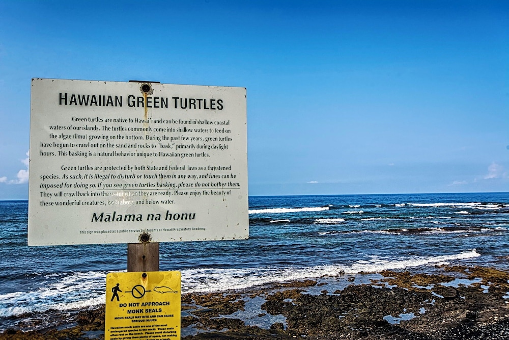 Steps From Lanai to Beach - AC & Wifi - Affordable- Vrkcv