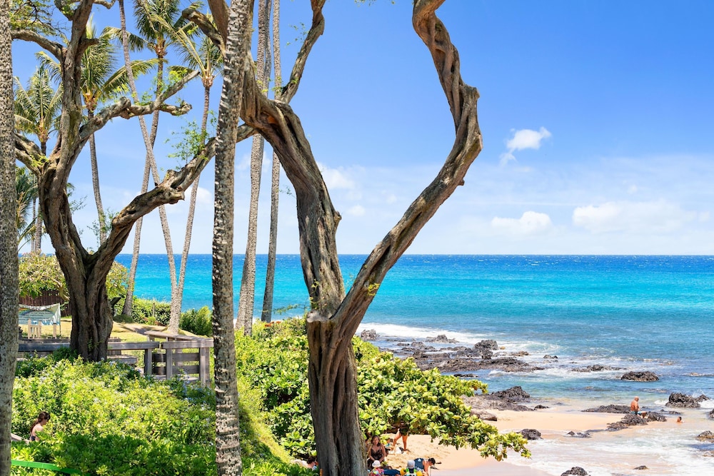 Napili Bay 210 in Lahaina