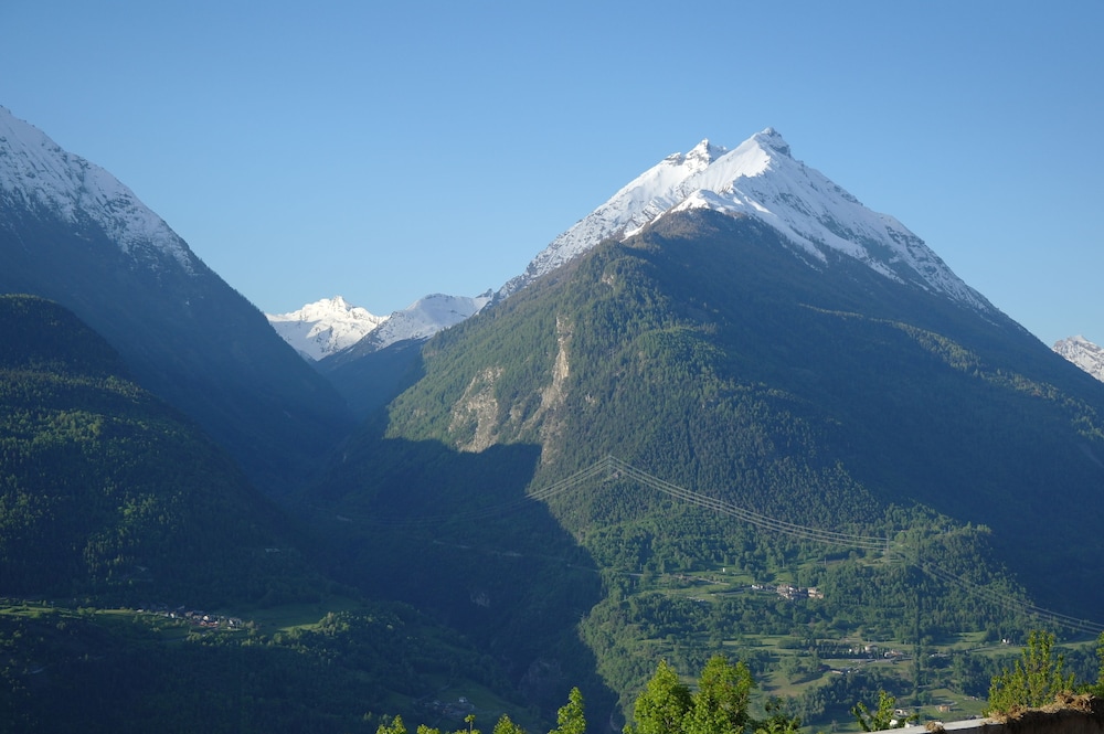 Le Vieux Noyer