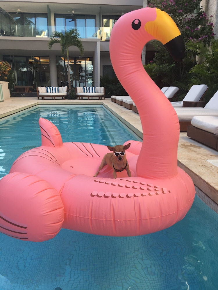 Thompson Playa Del Carmen Beach House, by Hyatt - Property Image 1