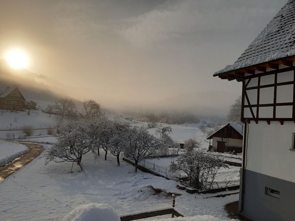 Apartment in Oberkirch