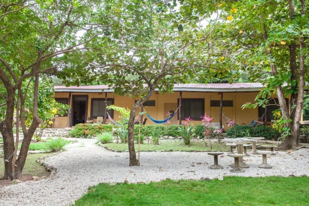 Nosara Beach Hostel