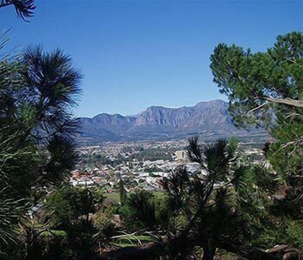 Photo 33
