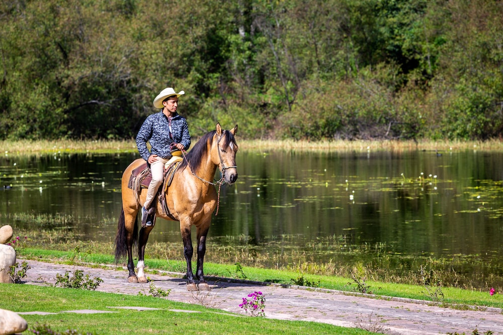 Sierra Lago Resort  Spa - All inclusive - Property Image 60