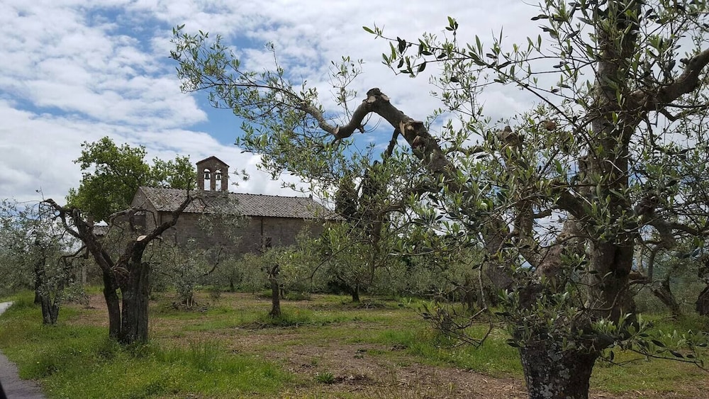 Photo 25