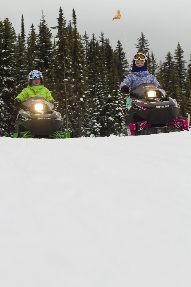 Vacation Homes by Big White Accomm.
