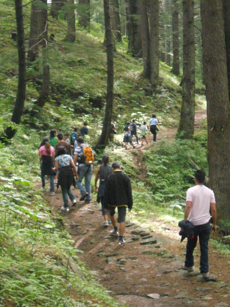 Aamod Dalhousie