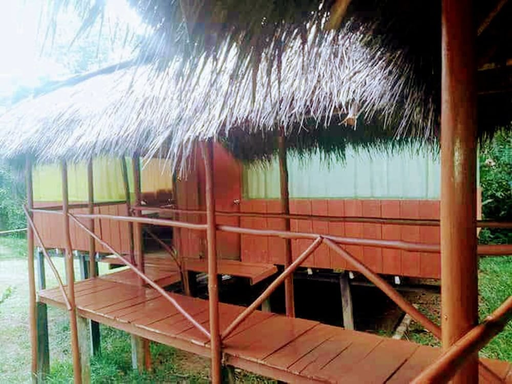 Amazon Queen Lodge view 3
