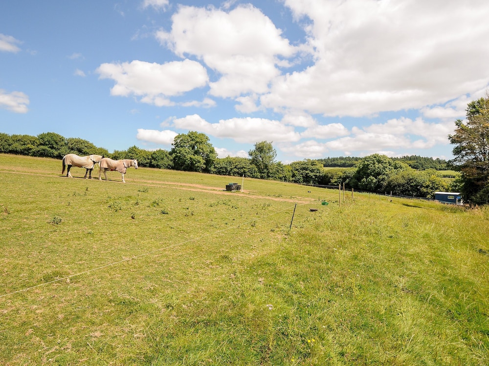 Shepherds Hut