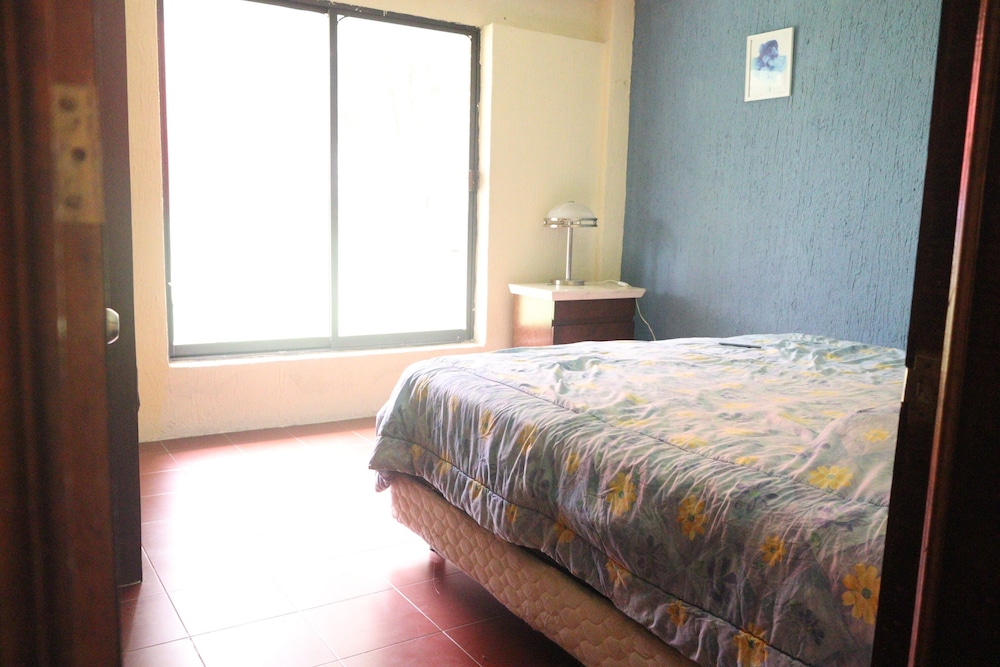 House of Ficus Banderilla,veracruz-mexico view 5