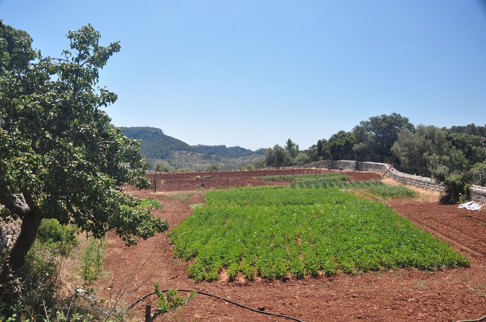 Agroturismo Sa Campaneta