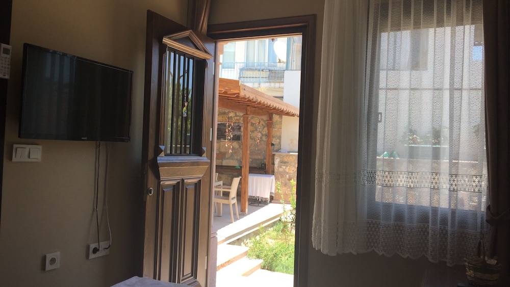 Hayriye Hanim Ege - Image 15