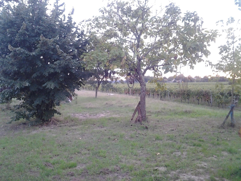 Au Vélo dans l'Arbre