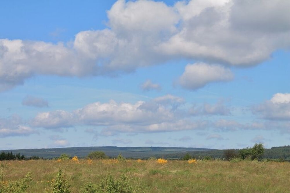 Photo 47