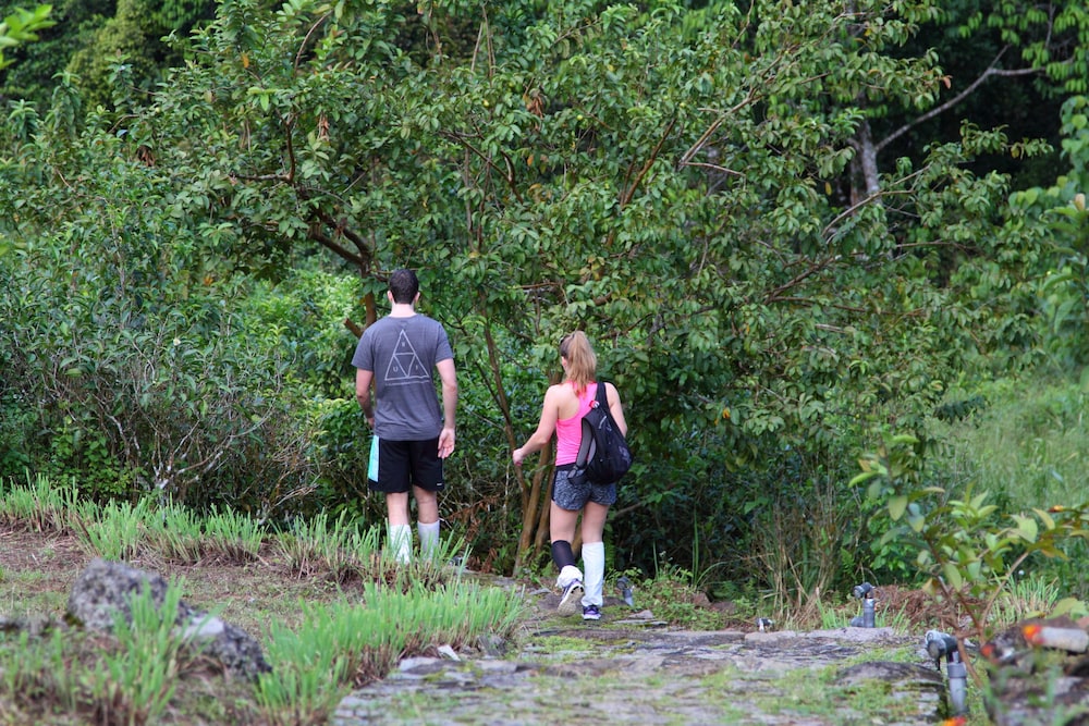 The Rainforest Ecolodge