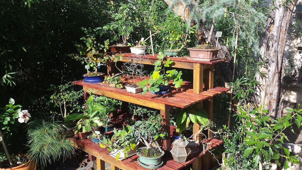 Casa Coimbra Guesthouse & Garden
