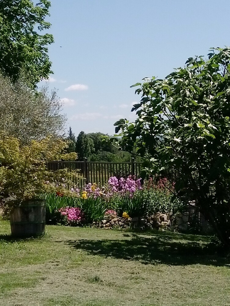 Photo 18