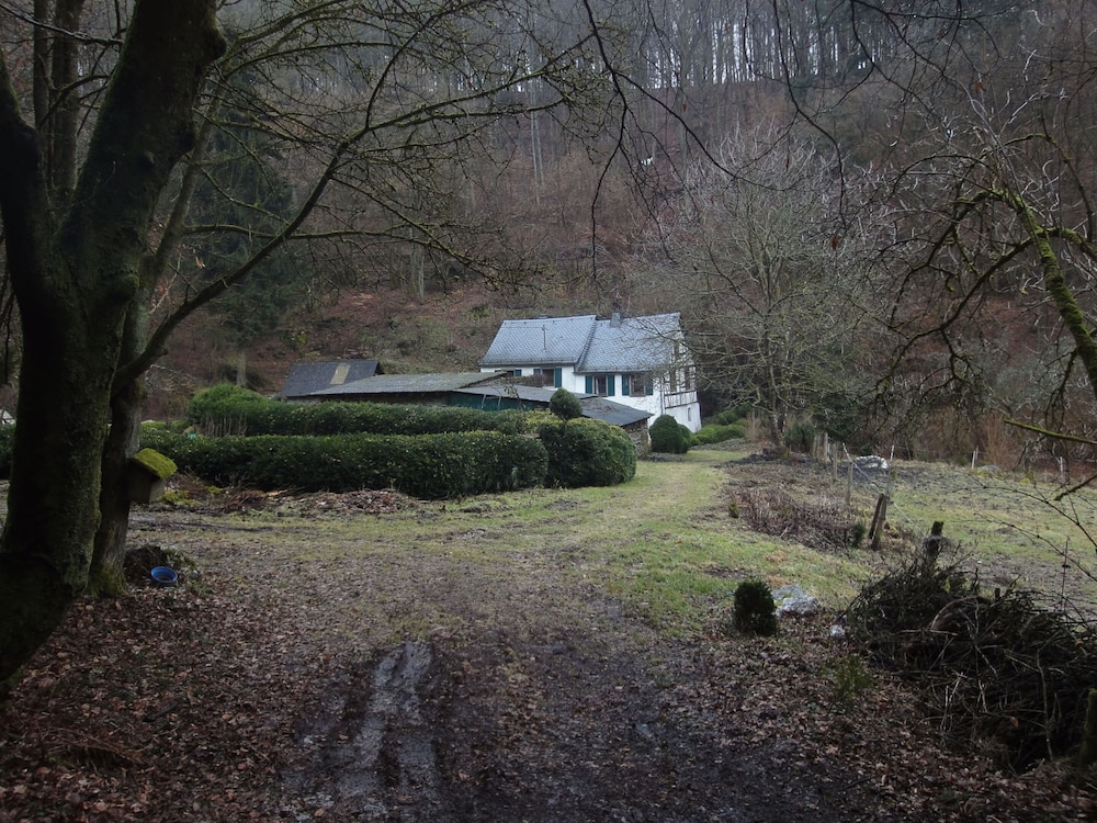 Photo 21