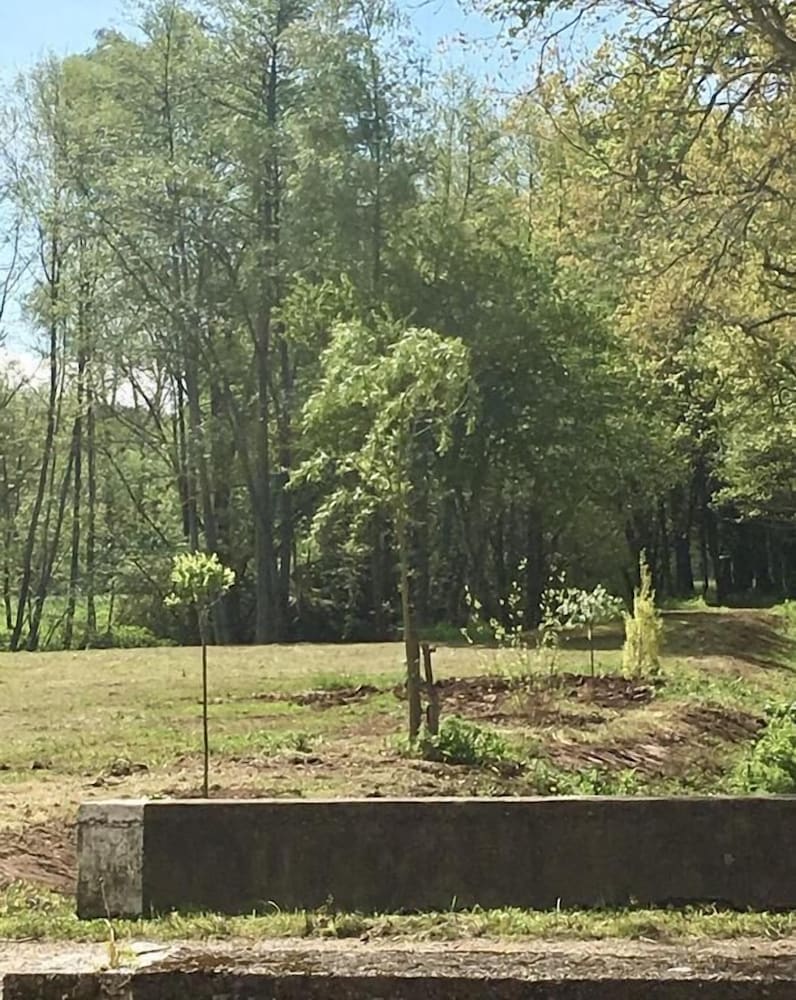 Le Moulin de la Salle view 5