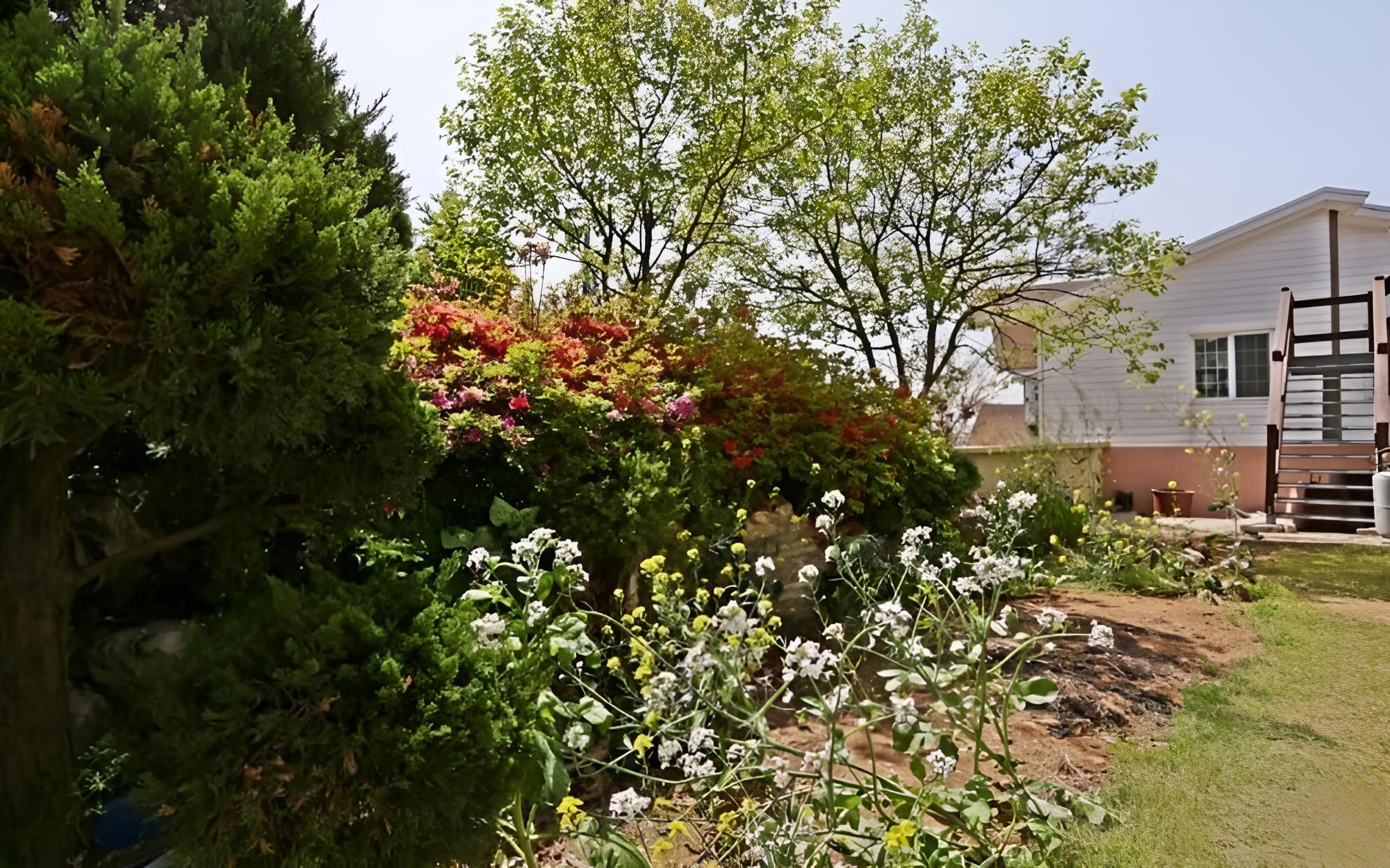 Photo 20