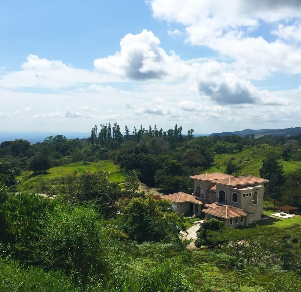Hotel Lucero - Luxury Treehouses - Image 1