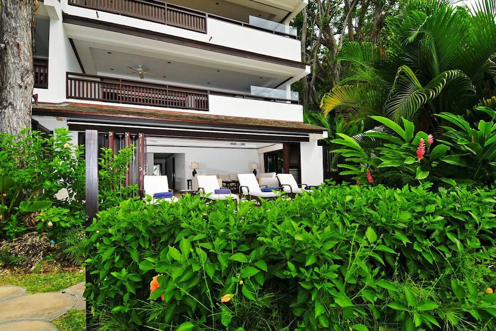 Coral Cove 11 by Altman