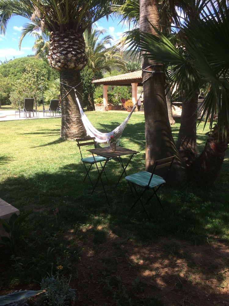 Jardí de Papallones photo 5