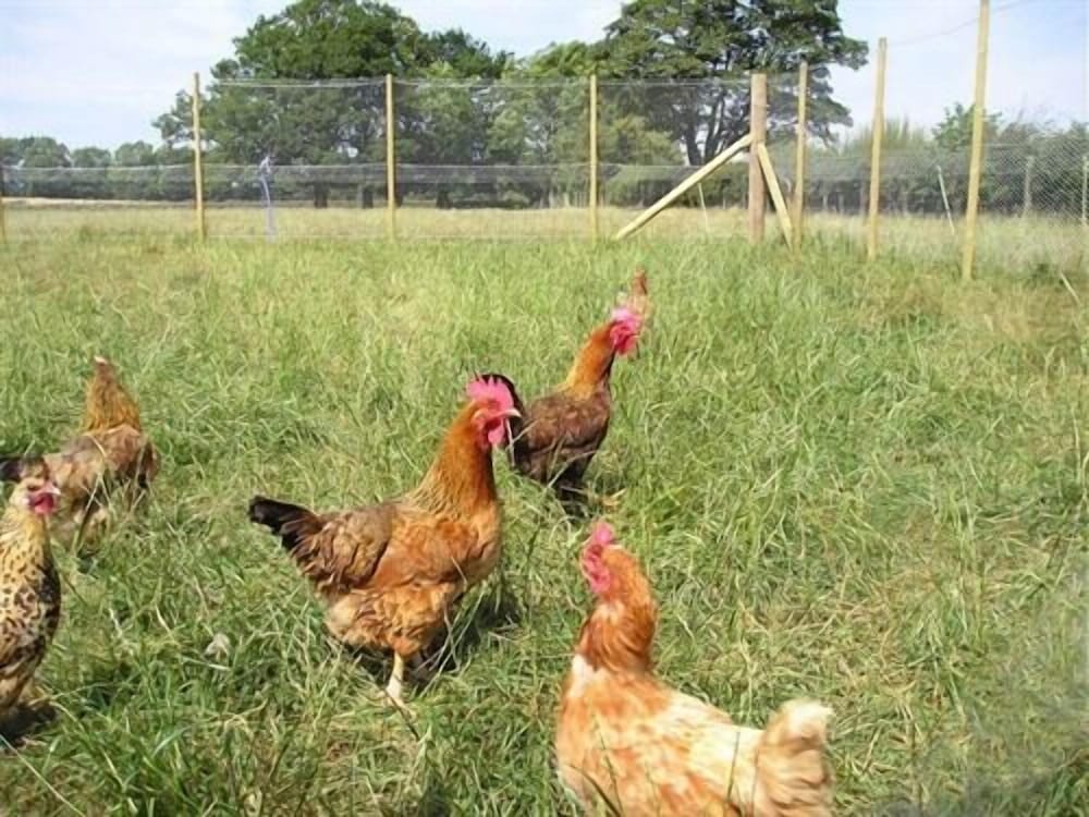 Whashton Springs Farm
